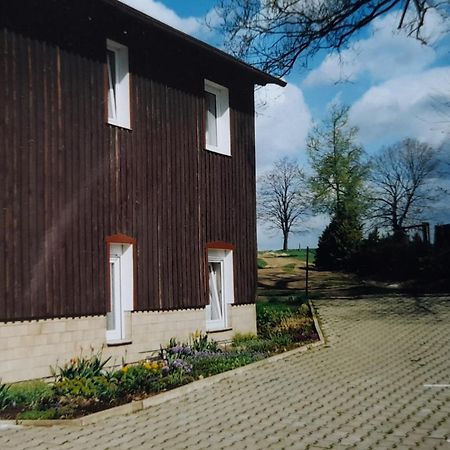 Falkenstein Reinhardtsdorf-Schona Екстериор снимка